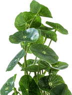 MyGift Set of 3 Small Assorted Artificial Plants in Clear Glass Pot