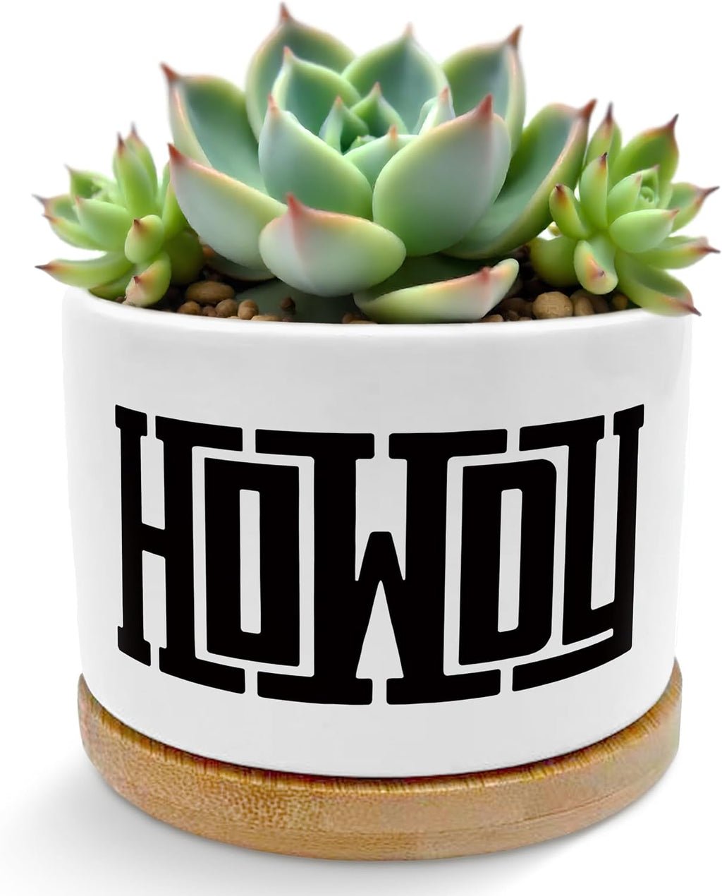 Howdy Western Plant Pots Succulent Planters