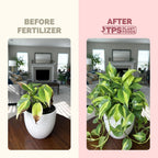 Philodendron Fertilizer, Liquid Plant Food for Bigger Leaves, 8 oz