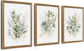 WRFON Framed Sage Green Botanical Wall Art Set of 3, Watercolor Eucalyptus & Wild Plant Canvas Prints, Minimalist Green Wall Decor for Living Room Bedroom Bathroom, 12x16 Inches