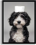 Framed Funny Bathroom Wall Art