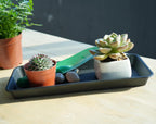VUWEZ 6 Pack Plastic Plant Tray Saucer Rectangular, Heavy Duty Planter Saucers for Indoors, Plant Water Drip Trays for Flower Pot Planter, Windowsill Pot Tray, Seed Starting Growing Trays