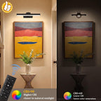 Picture Light for Wall, 4000mAh, 13.8 Inch, 2 Pack, Black
