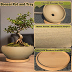 MUZHI 8 inch Round Unglazed Ceramic Bonsai Pot with Bamboo Tray, Shallow Plain Pottery Succulent Planter with Drainage Hole (8”)