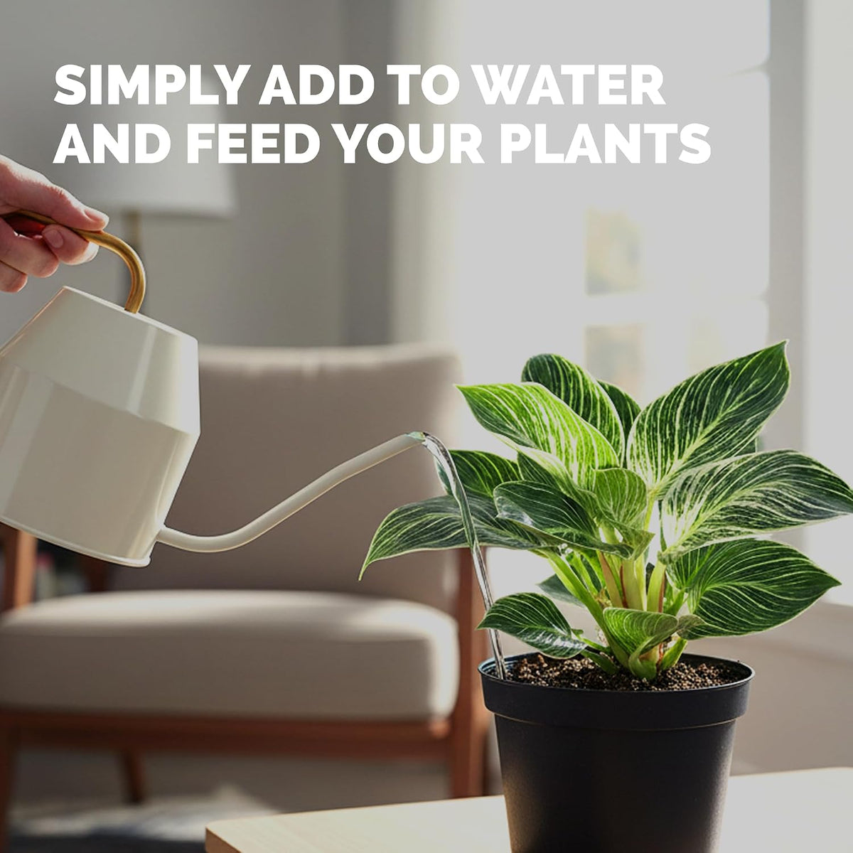 Philodendron Fertilizer, Liquid Plant Food for Bigger Leaves, 8 oz