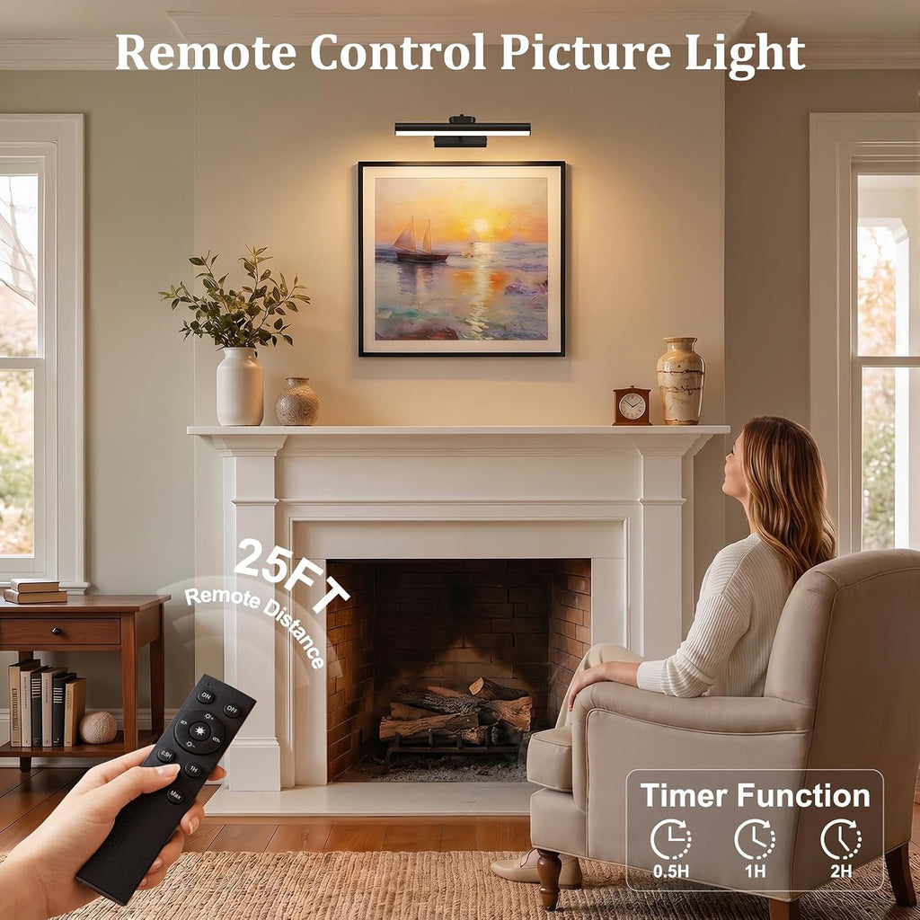 Picture Light for Wall, 4000mAh, 13.8 Inch, 2 Pack, Black