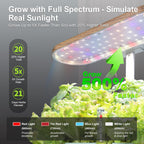 Hydroponics Growing System Indoor Garden: 12 Pods Hydroponic Planter