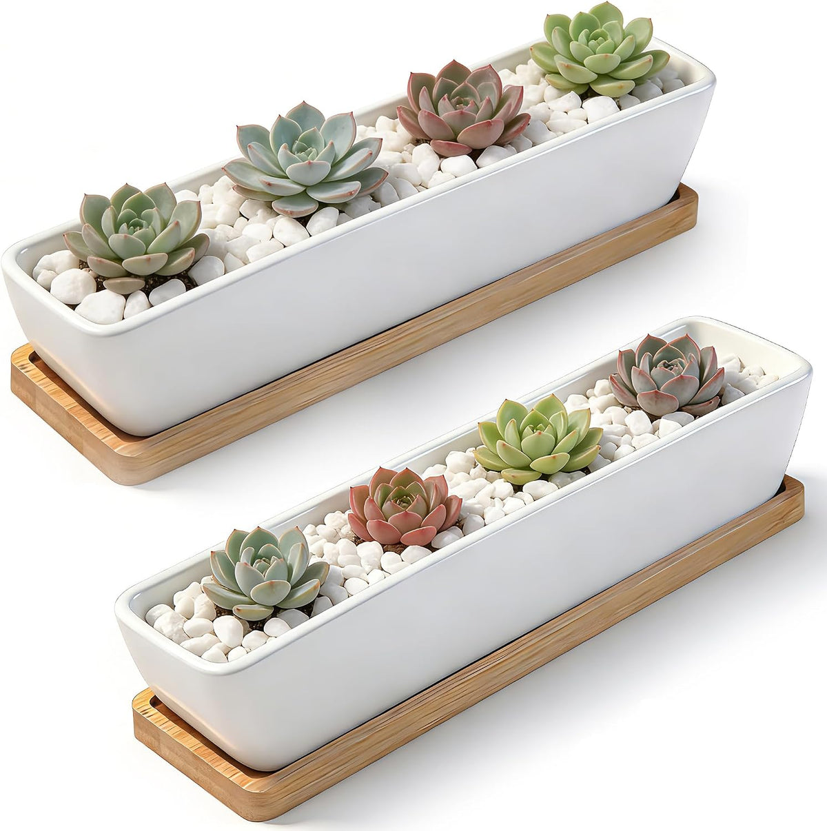 White Ceramic Succulent Plant Pots, Indoor and Outdoor Succulent Planters, Set of 2 Small Cactus Containers, Bonsai Pots, Flower Pots with Drainage Hole and Bamboo Bowl (No Plant)