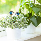 Tuitessine Evil Eye Plant Stakes Set of 2, Eyeball Garden Plant Picks