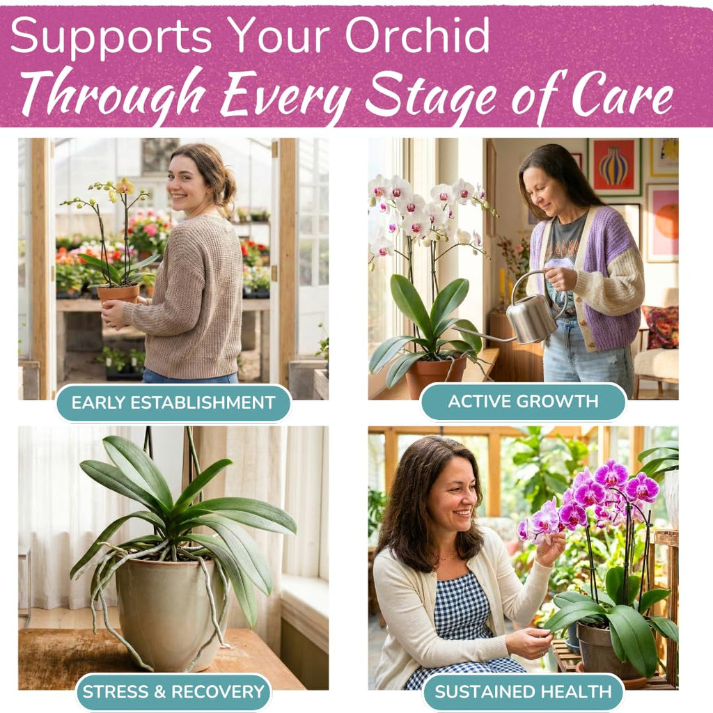 Orchid Fertilizer Spray, Ready-to-Use Liquid Plant Food Mist, 8 oz
