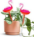 NiHome Self Watering Globes 2 Pack Glass Plant Waterer Flamingo Pink 10in