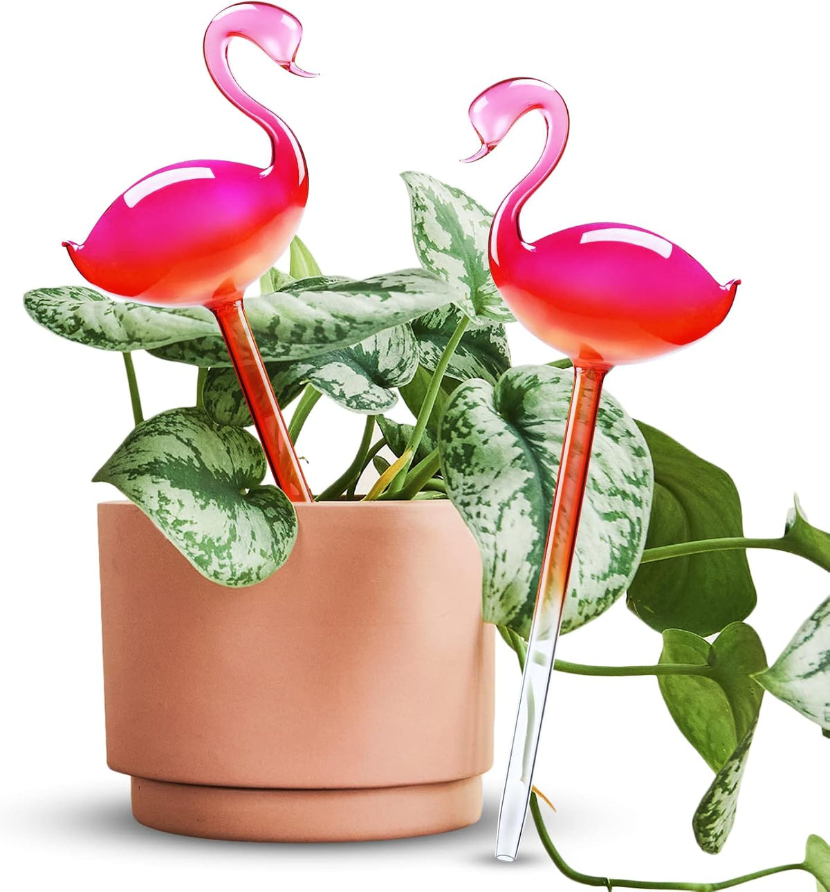 NiHome Self Watering Globes 2 Pack Glass Plant Waterer Flamingo Pink 10in