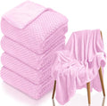 4 Pack Fleece Throw Blankets 50x60 Inches by Tewloss
