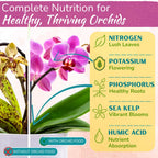 Orchid Fertilizer Spray, Ready-to-Use Liquid Plant Food Mist, 8 oz