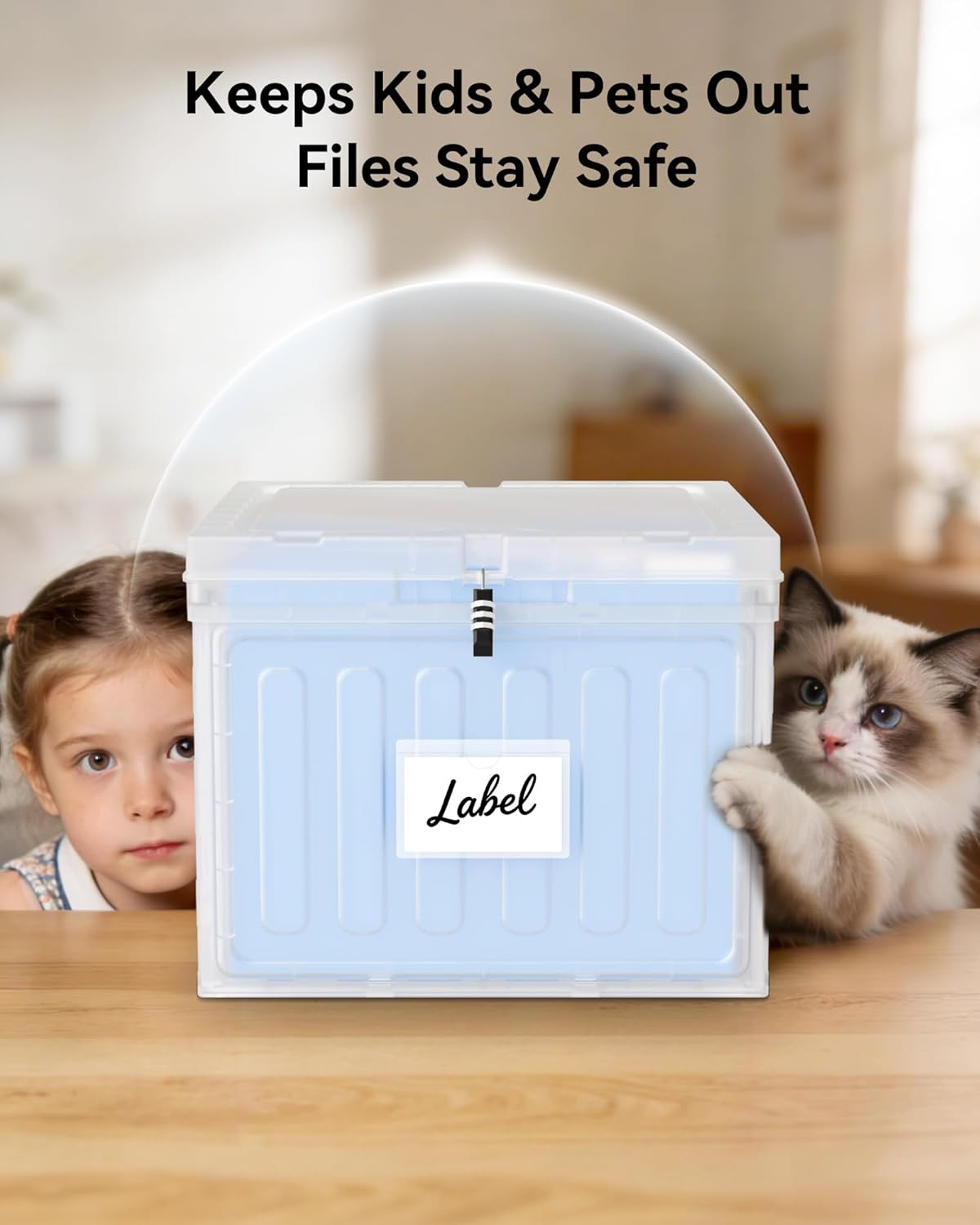 Lockable Plastic File Box with Lid for Letter-Size
