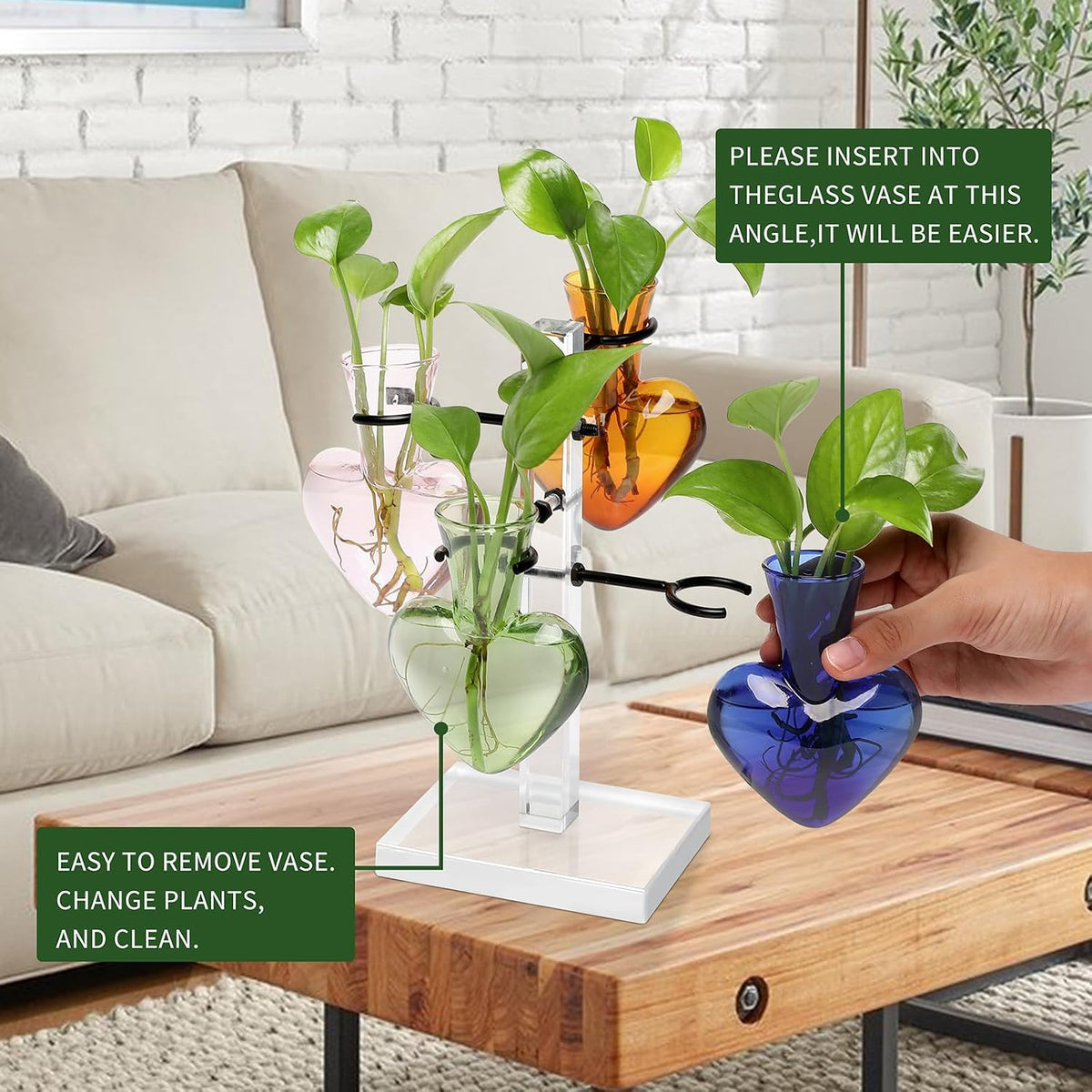 Plants Propagation Stations Plant Terrarium Kit Gift for Women