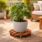 18 Inch Plant Caddy with Wheels, 6 Pack Rolling Plant Stand Rollers with Casters Wooden Plant Dolly with Wheels Heavy Duty Large Rolling Planter Base for Indoor & Outdoor Plants Wood Flower Stand