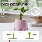 TOPOLA 5.2 Inch Hydroponic Happy Face Planter with 3 Interchangeable Grow Baskets, Water Culture Pot for Pothos, Lucky Bamboo & Plant Propagation, Decorative Desktop Planter for Home & Office, Sakura