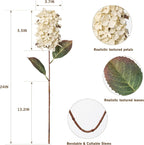 Ttranewsoo Hydrangea Artificial Flowers,Fall Hydrangeas Artificial Flowers, Fake Fall Dried Hydrangea Decoration,Faux Silk Flower with Stems Winter Decor Without Vase（Cream White 8PCS