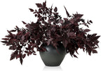 Lyrow 6 Pack 18 Inches Fall Stem Artificial Cimicifuga Plum Leaf Spray