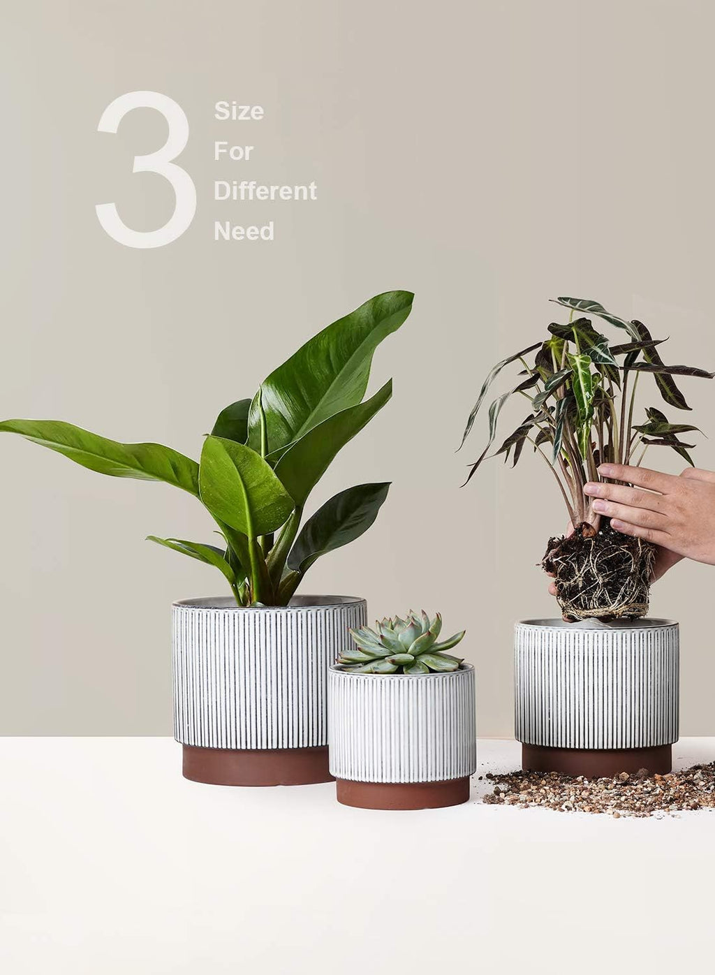 LE TAUCI Ceramic Pots for Plants, 8+6.7+5.5 Inch Plant Pots Indoor, Flower Pot with Drainage Holes, Medium Cylinder Planters for Indoor House Plants, Set of 3, Reactive Glaze White