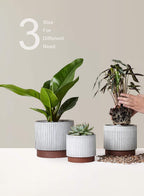 LE TAUCI Ceramic Pots for Plants, 8+6.7+5.5 Inch Plant Pots Indoor, Flower Pot with Drainage Holes, Medium Cylinder Planters for Indoor House Plants, Set of 3, Reactive Glaze White