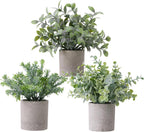 3 Pack Fake Plants Small Potted Artificial Plant for Desk Shelf Decor