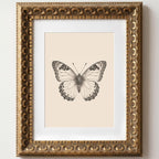 Wemandh Vintage Gold Framed Hummingbird Canvas Wall Art (8"x10")