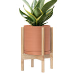 D'vine Dev Ceramic Pot with Walnut Wood Stand, Teal, 10 in, 55-B-X-4