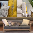 Chuangseed Anti-Cat Scratch Tape - 3" x 30Yds, Clear Double-Sided Cat Scratch Deterrent for Furniture, Carpet, Doors, Pet & Kid Safe