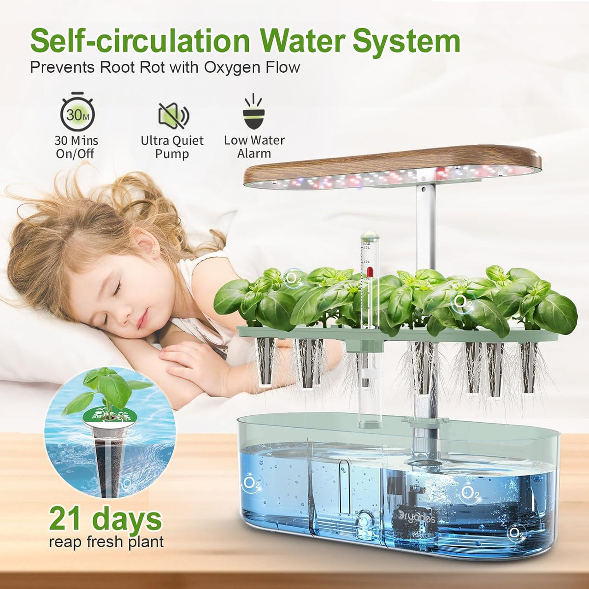 Hydroponics Growing System Indoor Garden: 12 Pods Hydroponic Planter