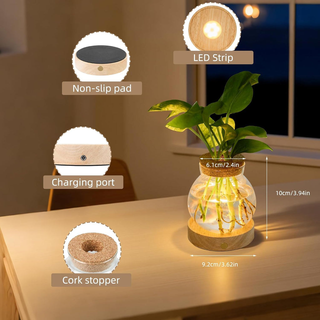Plant Propagation Station with Light,Everkeen Glass Terrarium with Stepless Dimming Function Hydroponic Glass Container Vase Jars Gardening Gifts for Mom Women Plant Lovers 4 Pack