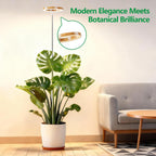 Full Spectrum Grow Lights for Indoor Plants&Home Décor.