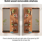 KungFuWood Full Length Mirror with Shelf and Hooks,Entry Way Mirrors for Wall,Wall Mirror with Shelf,Wall Mirror with Storage Multifunctional Design Panel,Living Room (Cherry, 52.4" L x 19" W)