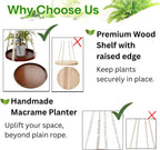 2 Pack Plant Hanger Indoor, Hanging Plant Shelf (12" + 10")