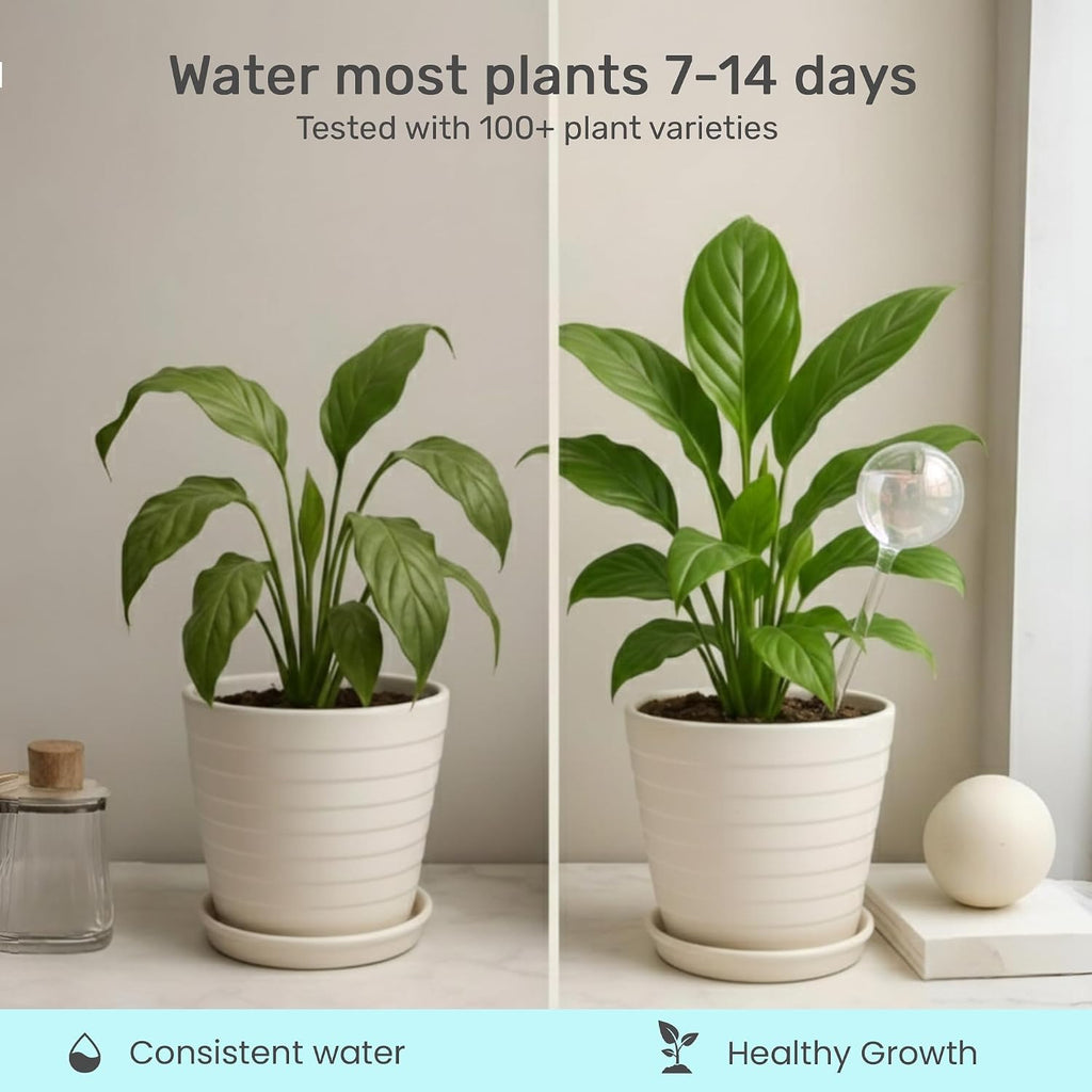 Plant Watering Globes 4 Pack – Self Watering Bulbs for Plants, 200ml Medium