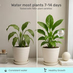 Plant Watering Globes 4 Pack – Self Watering Bulbs for Plants, 200ml Medium