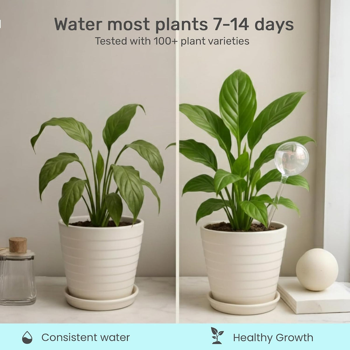 Plant Watering Globes 4 Pack – Self Watering Bulbs for Plants, 200ml Medium