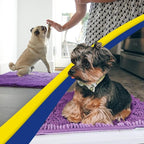 Muddy Mat® | Super Absorbent Door Mat Indoor, Microfiber Quick Dry Chenille - Image 5