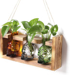 Plant Terrarium Propagation Stations Skull Planter Vase Skulls Decor