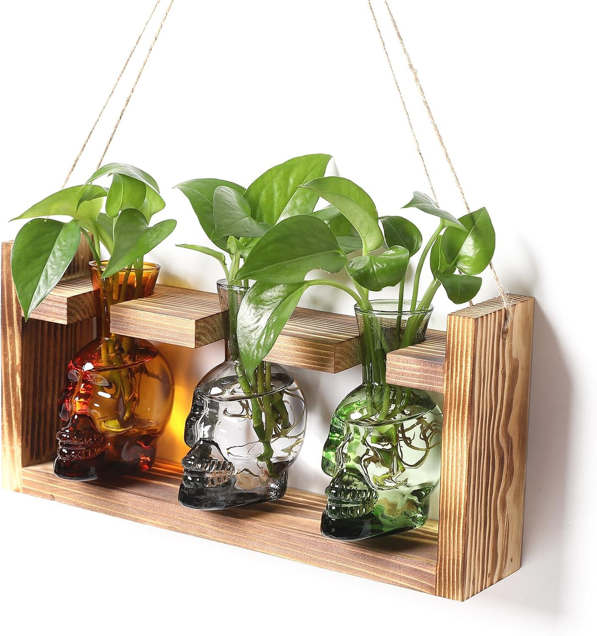 Plant Terrarium Propagation Stations Skull Planter Vase Skulls Decor