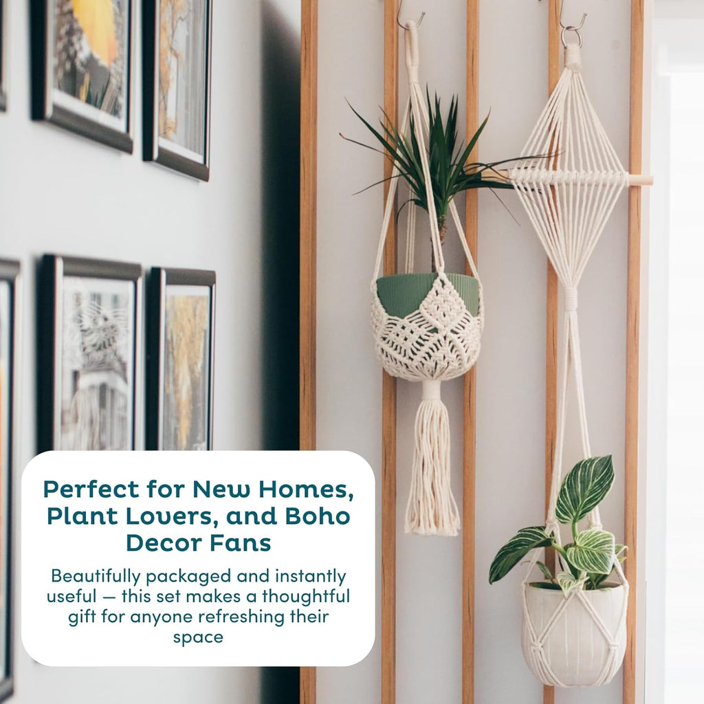 Nook Theory 4-Pack Macrame Plant Hangers with 8 Hooks - Hanging Planters for Indoor Plants, Boho Macrame Hangers Indoor Outdoor, Decorative Plant Hanger Indoor (Cream)