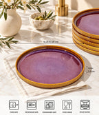 Ceramic Dinner Plates Set of 6, 10.25 Inch Dinnerware Plates