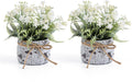 White Small Artificial Plants with 2pcs, Fake Plants for Bathroom Decor