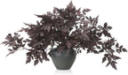 Lyrow 6 Pack 18 Inches Fall Stem Artificial Cimicifuga Plum Leaf Spray