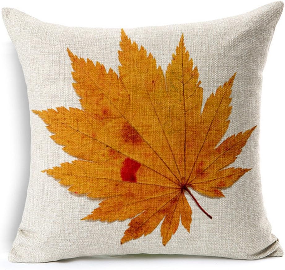 All Smiles Fall Outdoor Throw Pillow Covers 16x16 Set of 4, Thanksgiving