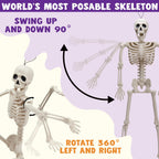 JOYIN 5 PCS Posable Halloween Skeleton Decor 16 Inches, Full Body Posable Joints Hanging Skeletons for Halloween Decorations, Graveyard Props, Haunted House Accessories, Spooky Scene Party Favors