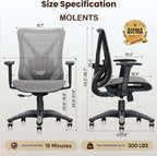 Ergonomic Office Chair, Mesh Computer Desk Chairs with BIFMA X5.1 Certified, Adjustable Lumbar Support, 3D Arm, Tilt Back, Wide Seat, Comfy Swivel Work Task Chair for Company and Home (Dawn Grey)