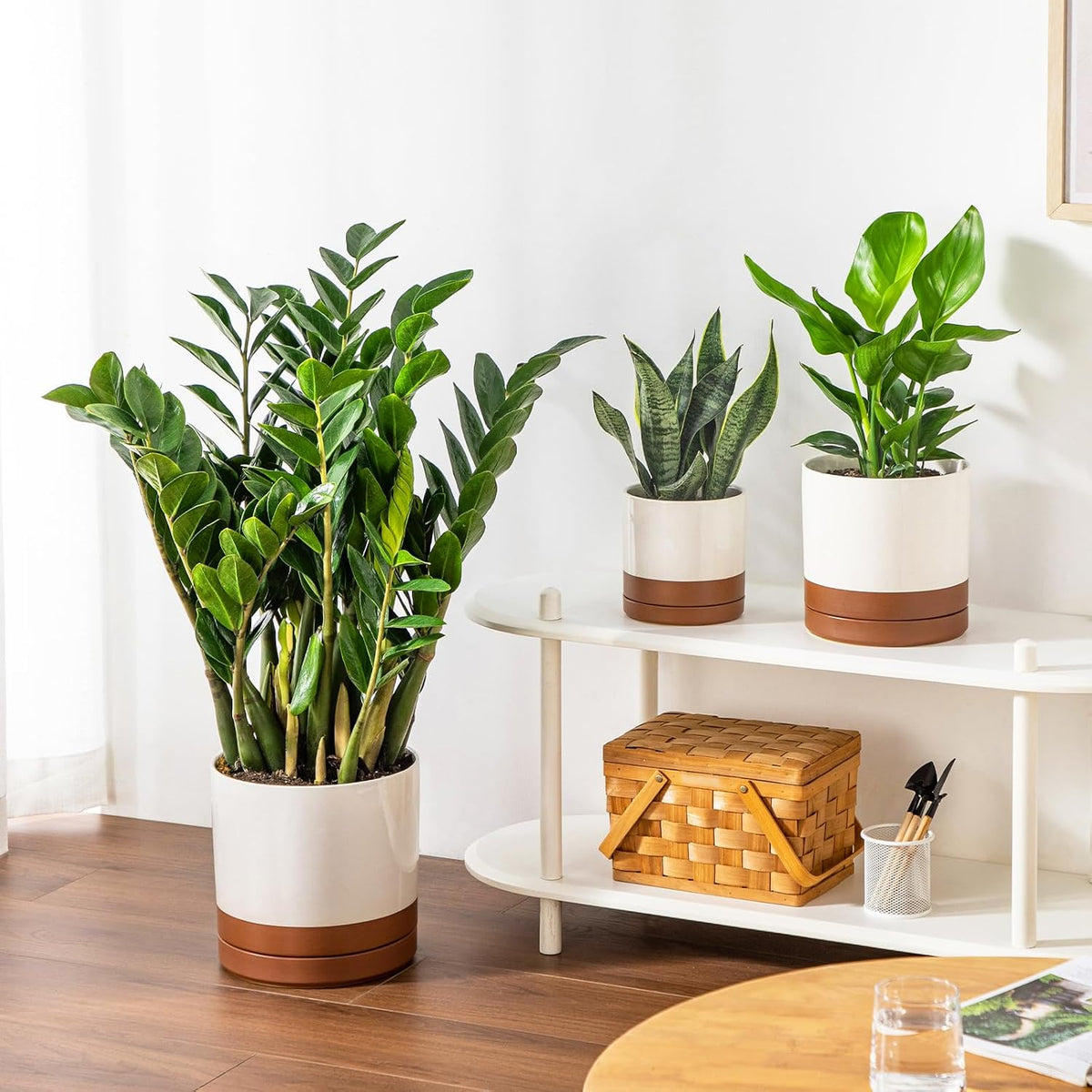 vancasso Ceramic Pots for Plants, Plant Pots for Indoor Plants, 6.25+8.25+10.25 Inch Ceramic Planters, Flower Pots with Drainage Holes, Planters Pot for Indoor House Plant, Set of 3, Khaki