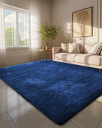 Ophanie 6x9 Blue Rugs for Living Room, Large Fluffy Shag Fuzzy Plush Soft Area by Ophanie
